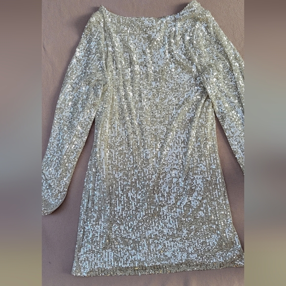 Z SUPPLY Sequin Mini Dress Size M Silver Lined NWT Style ZD234255S RN135090 - Picture 4 of 11